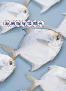 银鲳和黑鲳鱼的区别_银鲳黑鲳怎么选？