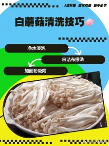 蘑菇需要焯水几分钟_蘑菇褶皱藏沙土，烹饪不同处理法
