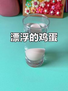 正常煮熟鸡蛋放水里会浮起来吗_煮熟鸡蛋浮水面，密度变化惹的祸