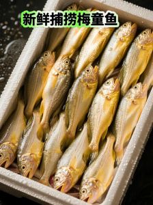 如何正确处理梅童鱼_冬日鲜味，教你挑处理烹饪