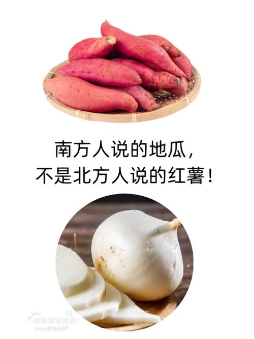 甘薯与番薯的区别在哪_甘薯和红薯的区别，营养口感大不同