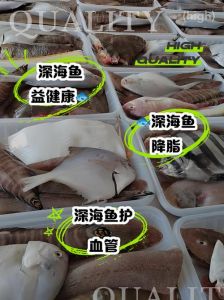 哪种鱼属于深海鱼_营养高，需保护