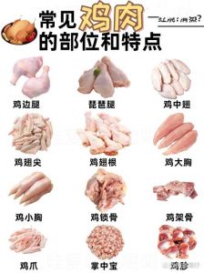 鸡各个部位名称图片_中医宝库的食疗良方
