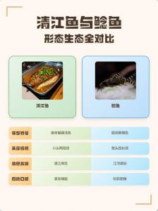 清江鱼与鲶鱼区别图_湖北特产与常见鱼的差异