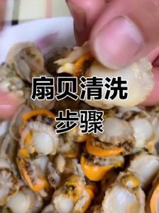 新鲜扇贝怎么处理及清洗方法图解_扇贝黑团是消化腺，营养好但选对很重要