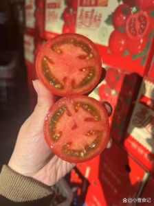 西红柿不出汁怎么回事_多汁番茄炒蛋，选对番茄超简单！