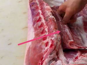 猪脊肉在猪肉哪个部位图片_选购与烹饪技巧