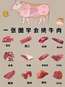 牛肉各部位名称图解_吊龙黄喉匙仁等精选介绍