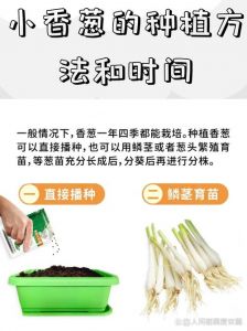 熟葱可以放多久_冷藏密封，即食不隔夜