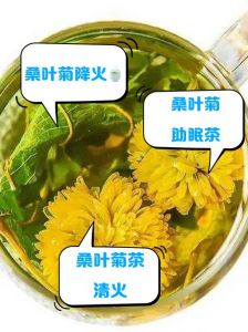 桑叶性寒和什么搭配可以调节_生姜暖胃，红枣益气，蜂蜜润肠，桂圆补血