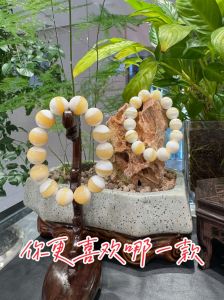 金丝砗磲手串有哪些特点_纹理独特价值高，真假辨别有讲究