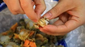 扇贝肉处理清洗全过程_新鲜扇贝去沙刷洗做法