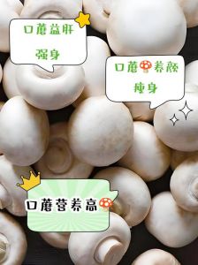 口蘑几分钟就熟了_口蘑营养高，素中佳肴，烹饪简单易学！