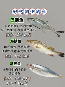 鮰鱼和草鱼哪个刺多_鮰鱼草鱼怎么选？刺少嫩滑选鮰鱼，炖汤选草鱼