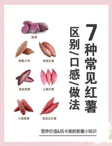 番薯和甘薯的区别_红薯营养价值高，烤蒸煮皆宜