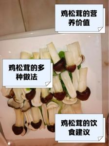 炒松茸要不要焯水_松茸营养高，清炒蒸蛋黄油煎，清洗勿掉醇