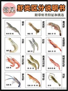 青虾和黄虾有什么区别_青虾黄虾有啥区别？口感营养看这里！