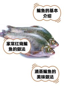 鳊鱼刺多吗有没有小刺_鳊鱼有刺？小心食用别伤嘴！