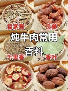 炖牛肉放哪些调料_炖牛肉要软烂鲜香不腥，调料搭配是关键
