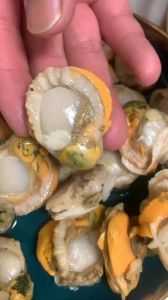 怎样处理扇贝肉_清洗扇贝肉技巧，去沙去内脏，快速炒制保鲜嫩