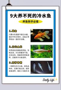 冷水鱼与淡水鱼区别_冷水鱼和淡水鱼有啥不同？