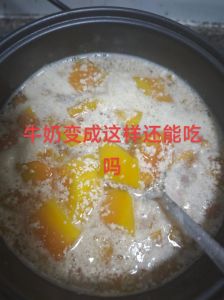 家常木瓜牛奶的做法_木瓜牛奶甜品，香甜营养，简单易做！