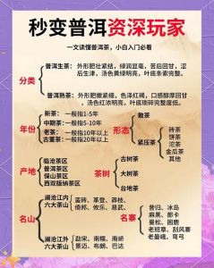生茶和熟茶的区别_生茶熟茶怎么选？工艺口感大不同！