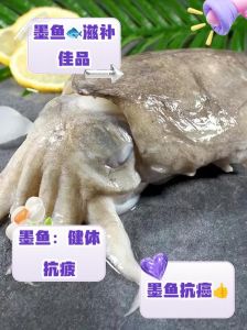 八带和墨鱼的区别_鱿鱼墨鱼八带海兔，海鲜美味做法多