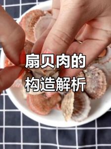扇贝肉怎么处理干净图解_清洗扇贝有妙招，新鲜冷冻方法看这里！