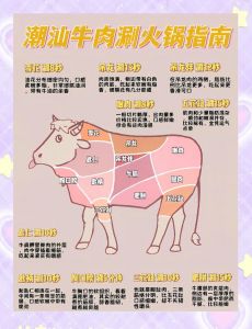 牛肉部位肉详细分解图说明方法_牛柳西冷眼肉哪个好？