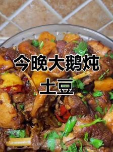 土豆炖鹅肉家常做法_炖鹅配土豆更香醇，详细步骤学会做美味