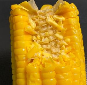 水果玉米蒸15分钟能熟吗_蒸玉米多快？甜玉米10-15分钟，别煮！
