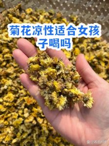 菊花性寒加什么中和_菊花茶配枸杞红枣暖身，午后饮用需注意