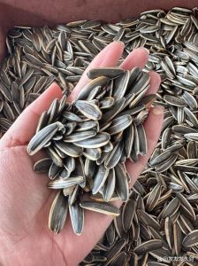 生瓜子怎么炒熟_炒瓜子小窍门，香脆好味自己调！