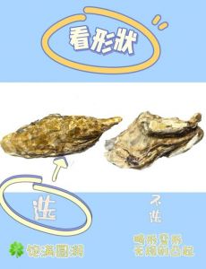生蚝和海蛎的区别图_大小口感大不同