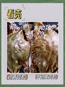海螃蟹挑选方法图解_挑选螃蟹看重量性别，鲜活紫壳品质好，这些技巧要知道！