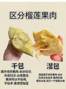榴莲干包湿包区别_口感香气大不同