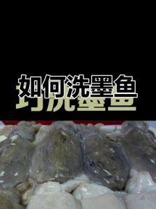 墨鱼怎么处理干净_挑选新鲜墨鱼仔，清洗六步法，保鲜冷冻技巧