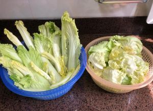 自制冬菜做法窍门_选厚实大白菜，腌制成冬菜，百搭下饭！