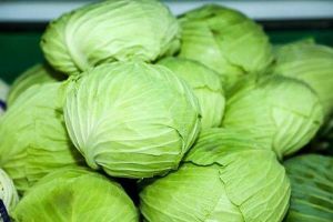 正宗卷心菜和包菜的区别_卷心菜包菜怎么挑？口感做法大不同