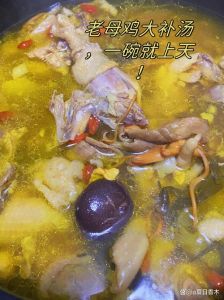 干蘑菇炖鸡家常做法_东北干蘑菇炖鸡，鲜嫩浓郁家常菜