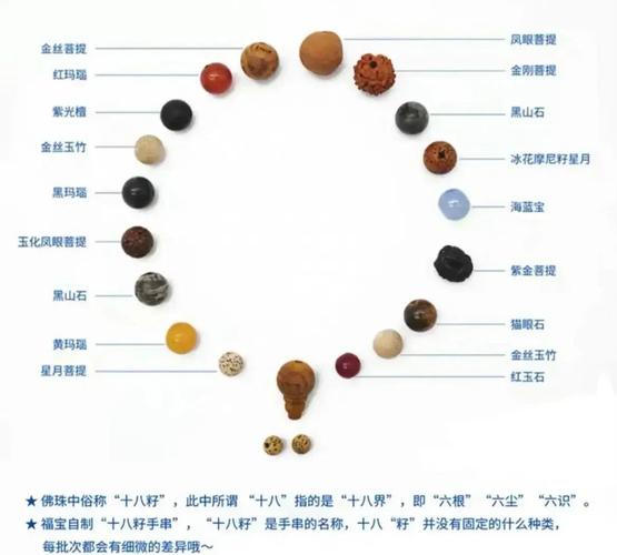 菩提果和菩提子的区别_天然清洁剂与文玩念珠的区别 菩提果和菩提子的区别_天然清洁剂与文玩念珠的区别