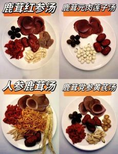 蒸鹿茸蒸熊掌的顺口溜是什么_相声《报菜名》有蒸鹿茸蒸熊掌，名贵菜肴！