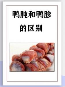 鸡肫和鸡胗的区别_鸡肫鸡胗一个胃，肉质紧实消食好
