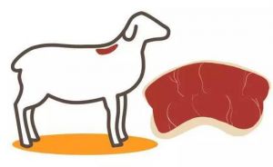 羊上脑是哪个部位图解_涮烤皆宜的羊头嫩肉