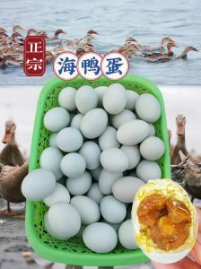 海鸭蛋与普通鸭蛋的区别_红树林滩涂产，蛋黄橙红，营养口感俱佳