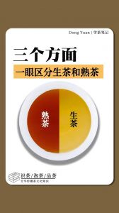 普洱熟茶与生茶的区别_生茶涩爽抗氧化，熟茶醇厚护肠胃