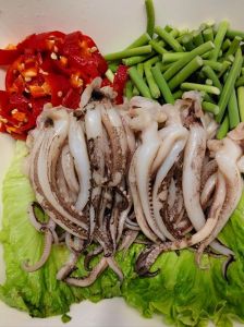 干鱿鱼的做法大全 家常炒菜_干鱿鱼泡发与烹饪技巧