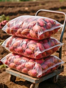 蜜薯蒸多少分钟_蒸地瓜多久熟？大小品种决定时间