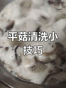 蘑菇怎么焯水_蘑菇焯水时间要精准！